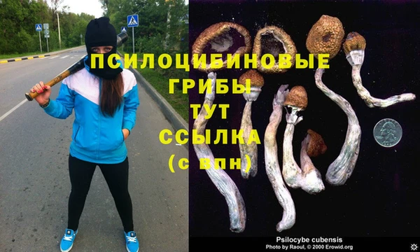 прущий лед Бугульма