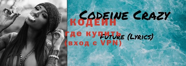 прущие грибы Бородино