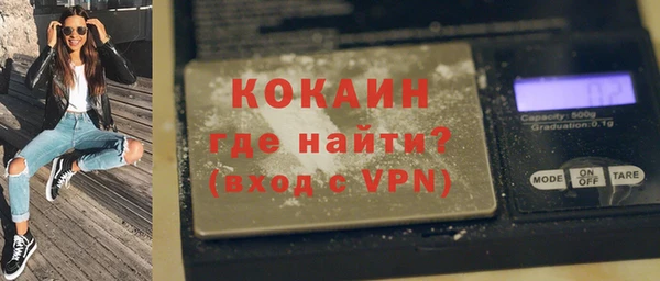 прущие грибы Бородино