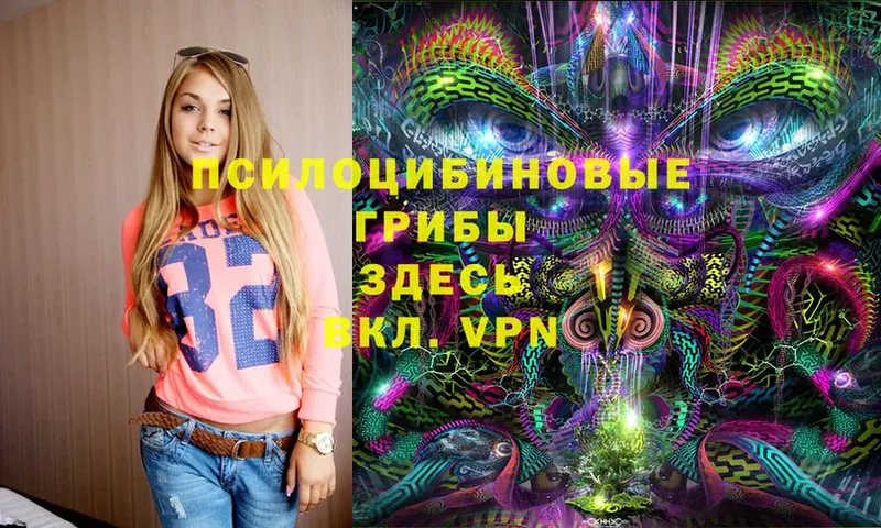 Псилоцибиновые грибы Magic Shrooms  где купить наркоту  Гороховец 